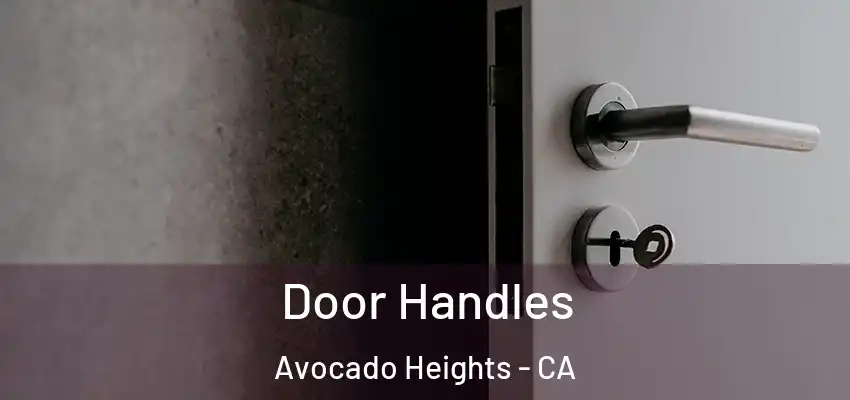  Door Handles Avocado Heights - CA