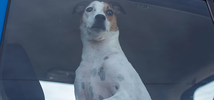 Car Lockout Solutions in Avocado Heights, California